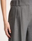 Pleated pants